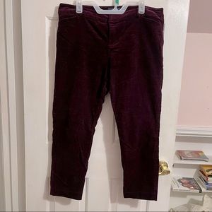 Old Navy size 14 plum velvet ankle pants